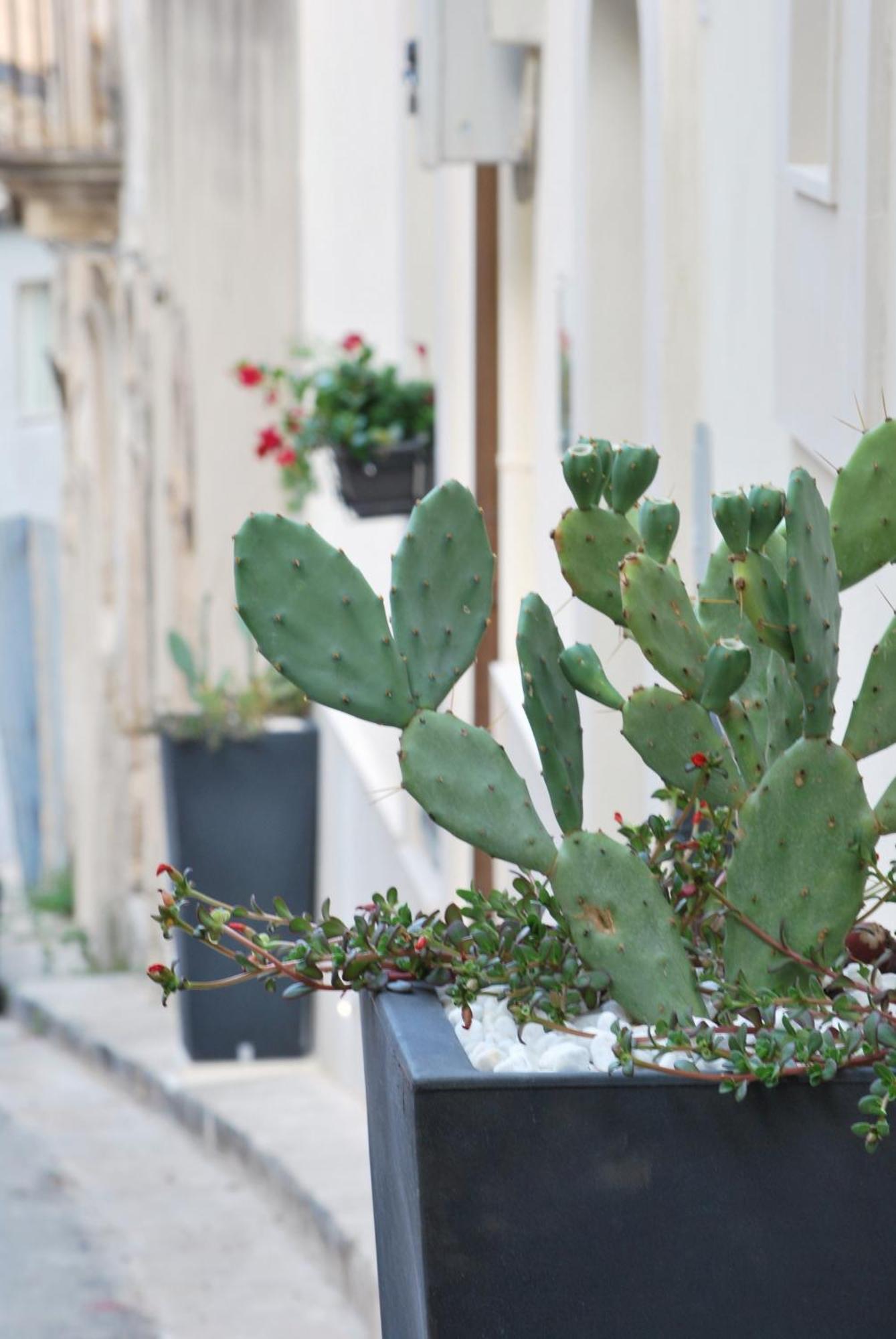 Bed and Breakfast A Casa Di Grazia Ragusa Exterior foto